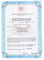 Сертификат автошколы Триумф-авто
